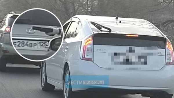 Владивостокец разъезжал по городу на авто и размахивал пистолетом