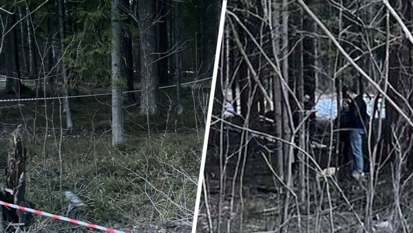 Водителей попросили показать записи видеорегистраторов для поимки напавшего на полицейских