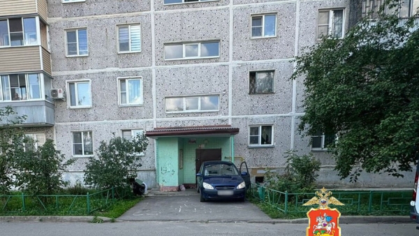 В Орехово-Зуево попал на видео наезд на мать с младенцем у подъезда дома