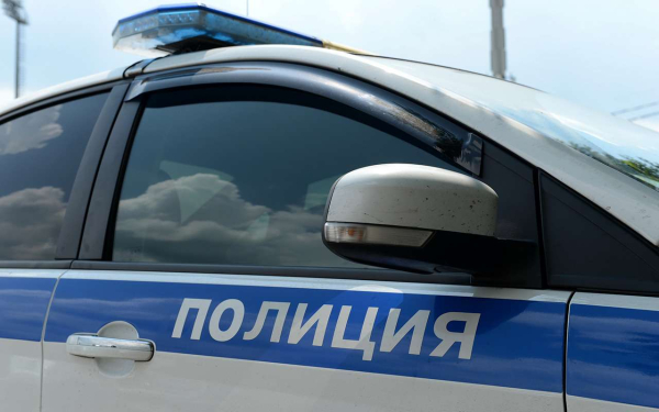 Инспекторы ДПС применили оружие, чтобы остановить пьяного лихача